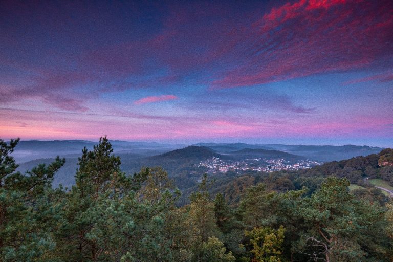 Sonnenaufgang im Pfälzerwald